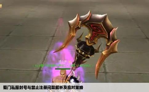 蜀门私服封号与禁止注册问题解析及应对策略